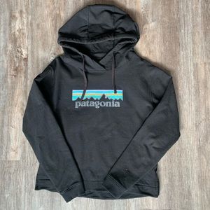 Patagonia Sweatshirt
